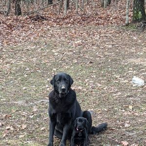 Meet your Posher, Connie